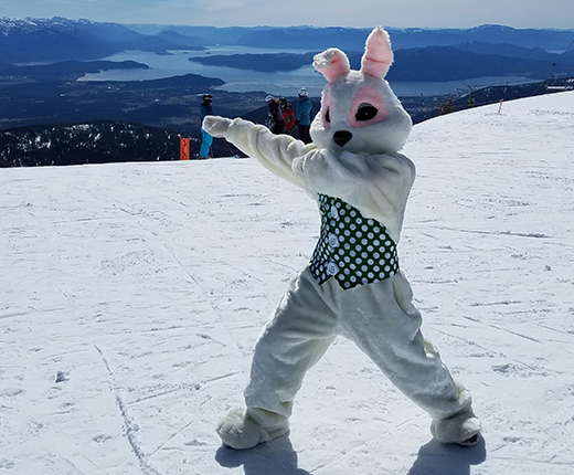 Easter Bunny costume at the top of Schweitzer
